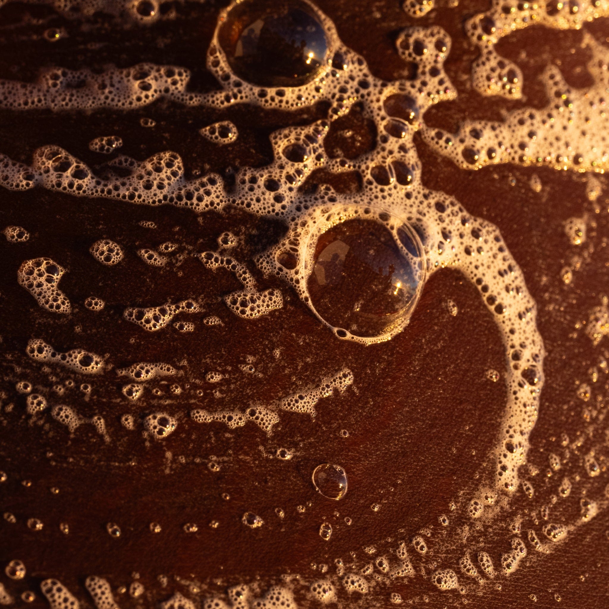 Hydrating Argan Body Wash - Image 5