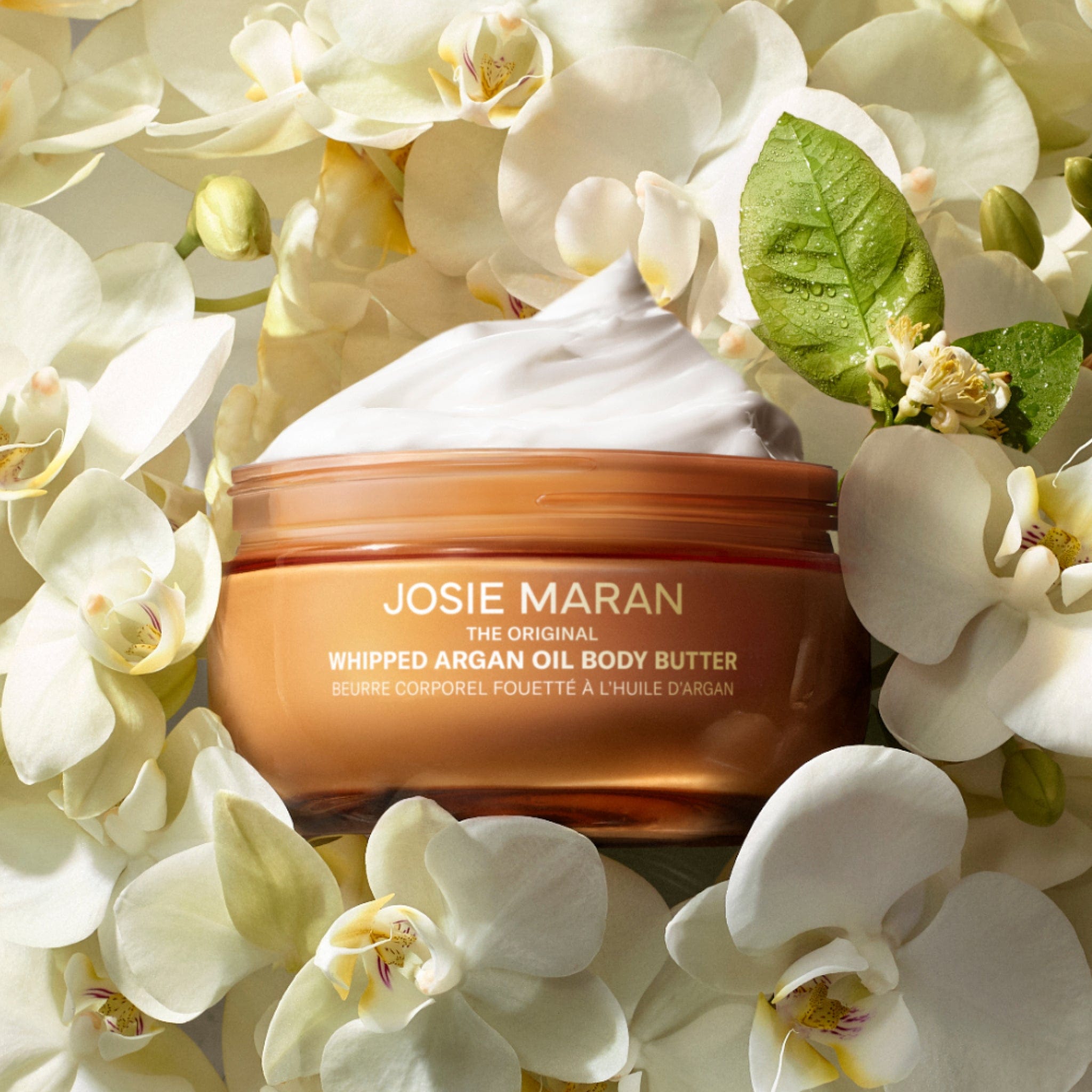 Whipped Argan Oil Body Butter - Image 2